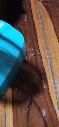 1000051661.jpg