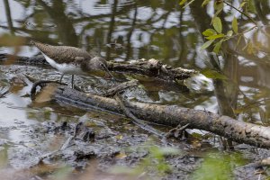 HB 20240831_K7A1417_DxO-Bearbeitet.JPG