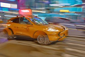 1H7A0255.jpeg 1H7A0255.jpeg