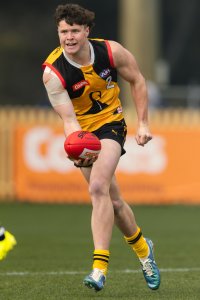 Pioneers v Stingrays-1.jpg