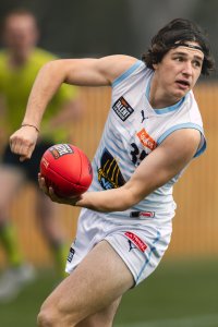 Pioneers v Stingrays-16.jpg