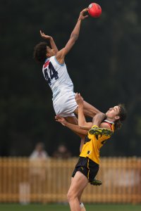 Pioneers v Stingrays-2.jpg