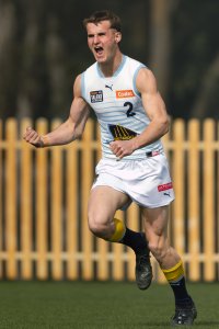 Pioneers v Stingrays-4.jpg