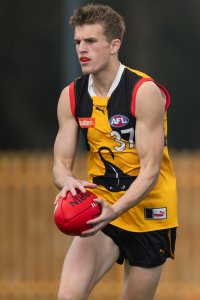 Pioneers v Stingrays-10.jpg