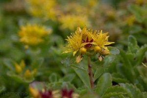 2024-10-01 16-37-13 (B,R4,S2)22.jpg