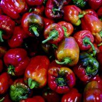 Custom_ copy 8-topaz.jpg