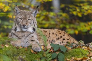 HB 20241019_K7A8225_DxO-Bearbeitet.jpg