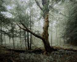 IMG_1401 (1) small.jpeg