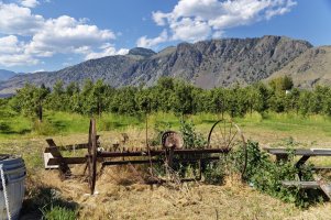 _V2A1269_DxO (1)-topaz.jpg