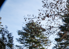 Screenshot 2024-10-30 at 11.23.55 AM.png