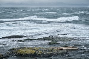 _DSF7514 copy-topaz.jpg