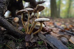 2024-11-08 20-53-11 (C,S4)27.jpg