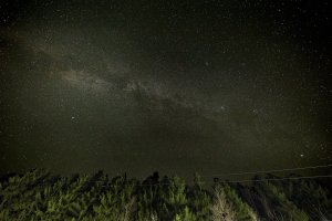 0T7A2346 Headlight small.jpeg