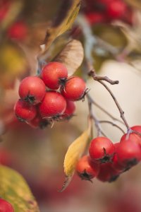 0B6016FF-F9F7-4C33-835A-8DC884FD193570-200 Z Test_24-11-18_AW8A0931.jpeg