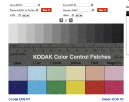 Capture d’écran 2024-11-21 à 11.11.19.png