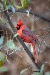 Small-0524.jpg Small-0524.jpg