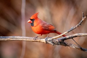 0M3A0957.jpg 0M3A0957.jpg