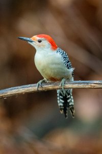 0M3A1180.jpg 0M3A1180.jpg