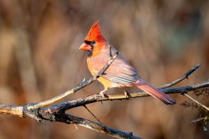 0M3A0829.jpg 0M3A0829.jpg