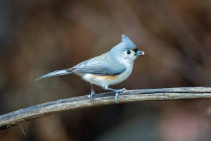 0M3A1368.jpg 0M3A1368.jpg