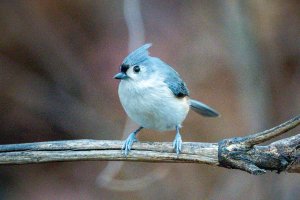 0M3A1275.jpg 0M3A1275.jpg