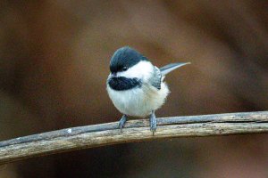 0M3A1288.jpg 0M3A1288.jpg