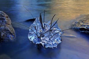 Ice 259-261 resized.JPG