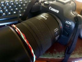 RF 28-70 f2.8 on R6 II.jpg