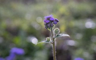 2024-11-14 13-50-56 (B,R2,S1)13.jpg