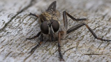 fly2024-12-11 14-53-37 (C,S1)78.jpg