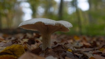 2024-11-17 15-34-20 (B,R8,S4)35.jpg