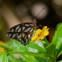 DSC_6416_DxO.jpg