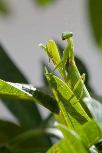 DSC_6967_DxO_DxO.jpg