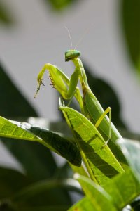 DSC_6970_DxO_DxO.jpg