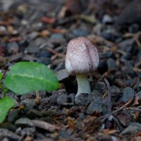 DSC_6863_DxO.jpg DSC_6863_DxO.jpg