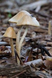 DSC_7235_DxO.jpg DSC_7235_DxO.jpg