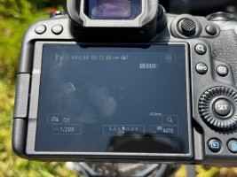 IMG_7112.jpeg