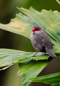 DSC_7456_DxO.jpg