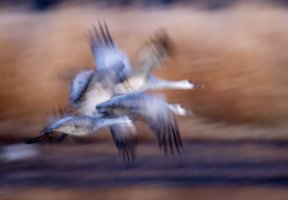 2024-073 708 New Mexico trip-Edit.jpg