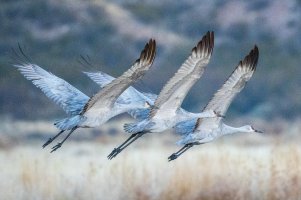 2024-073 840 New Mexico trip.jpg