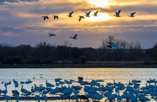 2024-073 1243 New Mexico trip.jpg