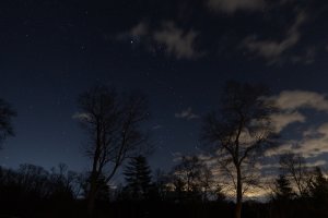Profile On-6783.jpg