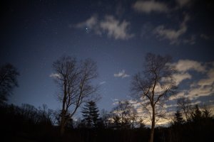 Profile Off +2-6783.jpg