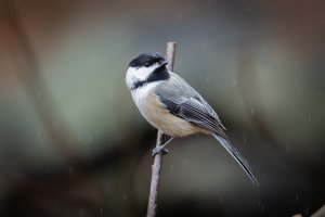 small--2.jpg