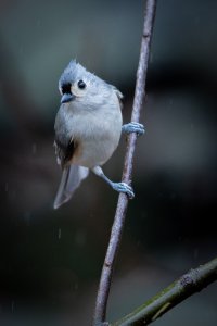 small--7.jpg