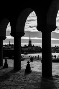 Small-2481.jpg Small-2481.jpg