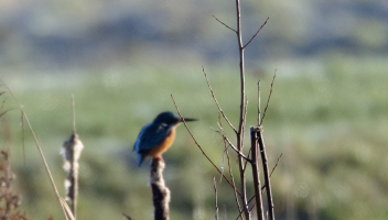 Schermafbeelding 2025-01-13 om 15.09.03.png