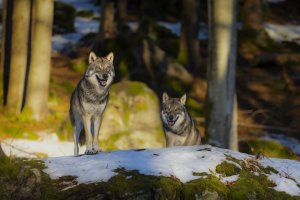 HB 20250117_48A3762_DxO-Bearbeitet.jpg