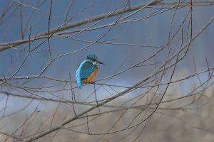 HB 20250119_74A2294_DxO-Bearbeitet.jpg