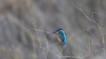 HB 20250119_74A2271_DxO-Bearbeitet.jpg